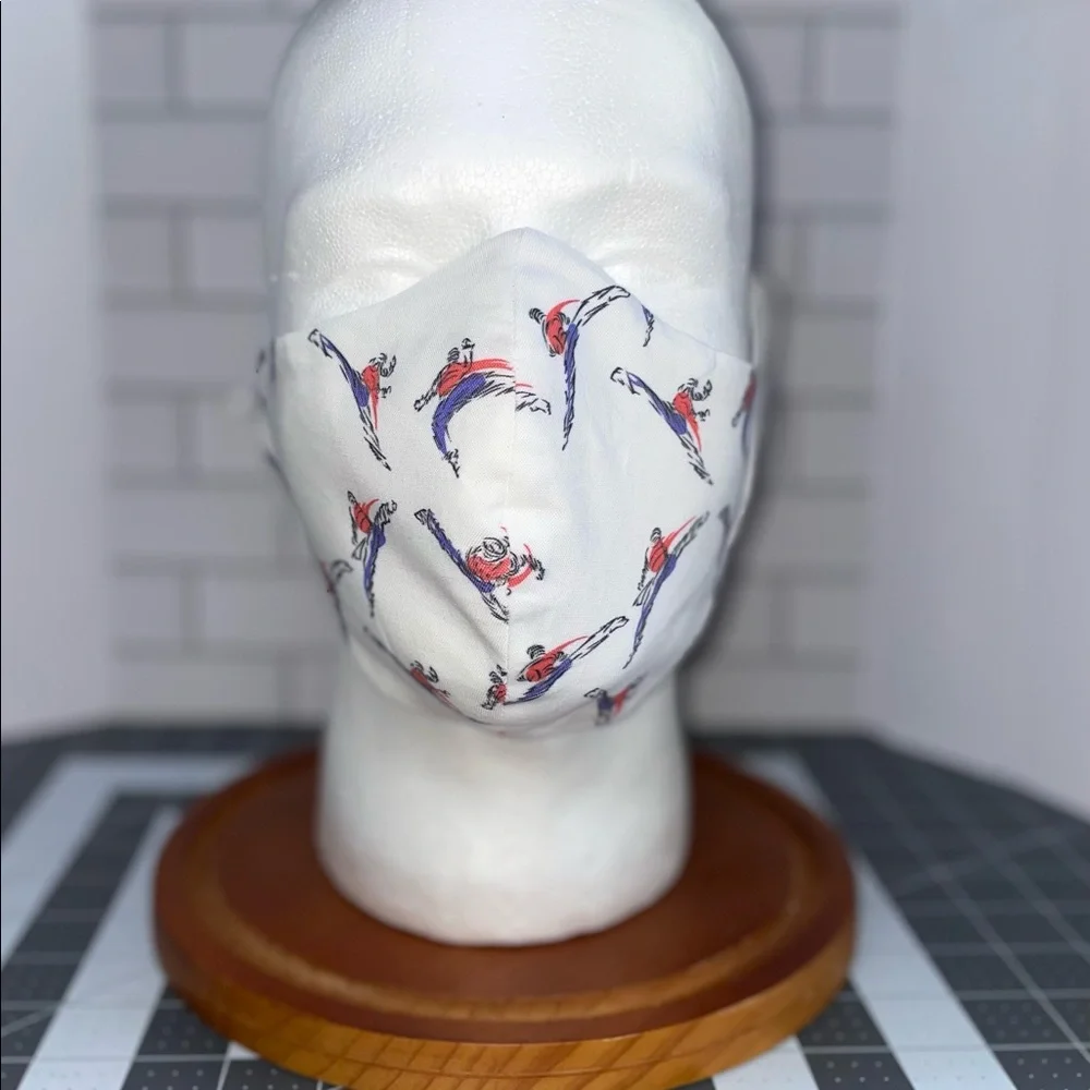 Martial arts facemask taekwondo